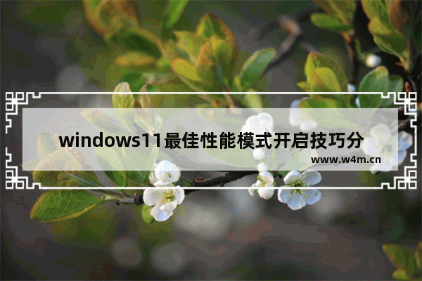 windows11最佳性能模式开启技巧分享