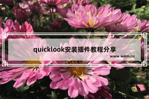 quicklook安装插件教程分享