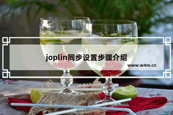 joplin同步设置步骤介绍