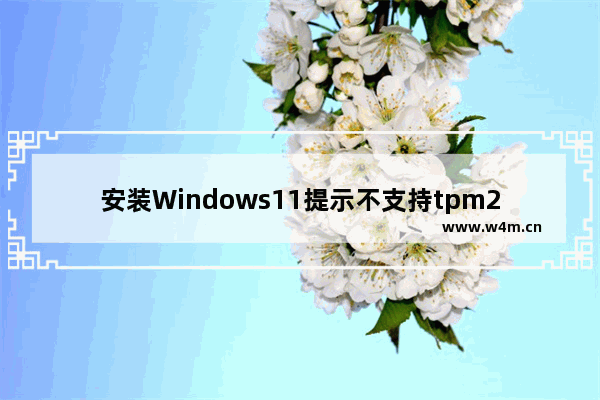 安装Windows11提示不支持tpm2.0解决办法介绍