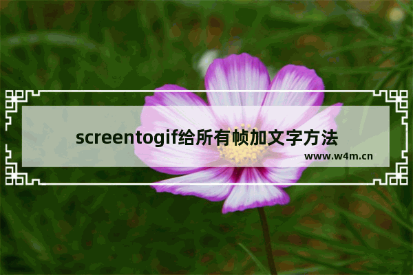 screentogif给所有帧加文字方法分享