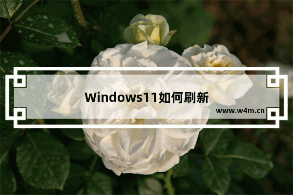 Windows11如何刷新