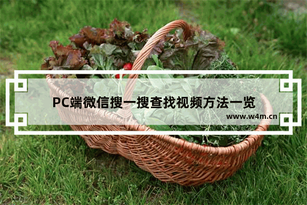 PC端微信搜一搜查找视频方法一览