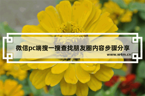 微信pc端搜一搜查找朋友圈内容步骤分享