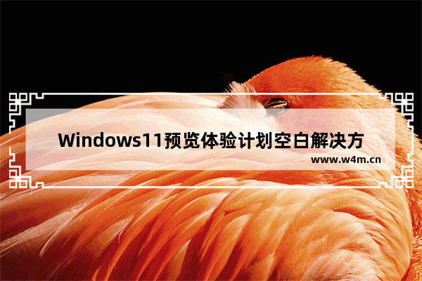 Windows11预览体验计划空白解决方法介绍