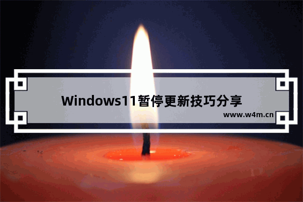 Windows11暂停更新技巧分享