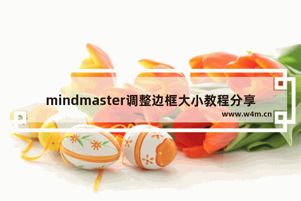 mindmaster调整边框大小教程分享