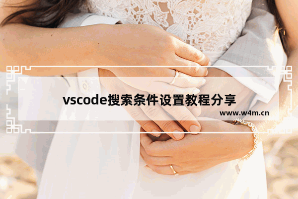 vscode搜索条件设置教程分享