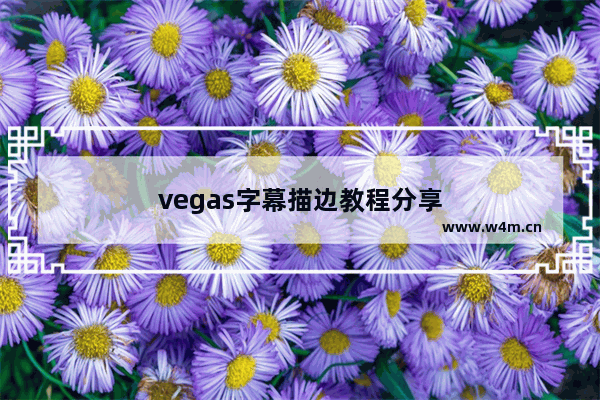 vegas字幕描边教程分享