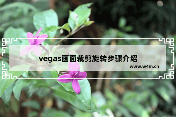 vegas画面裁剪旋转步骤介绍