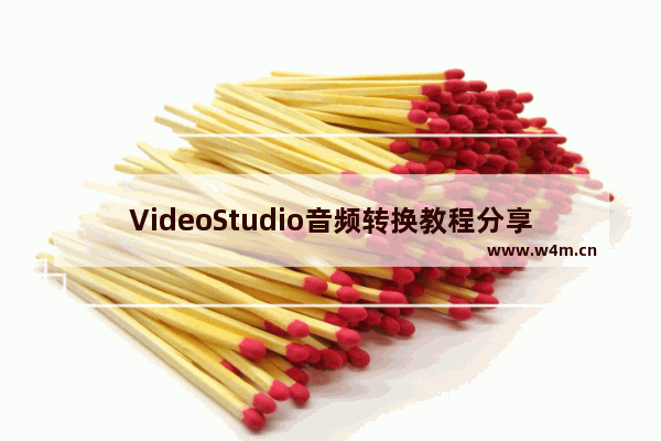 VideoStudio音频转换教程分享