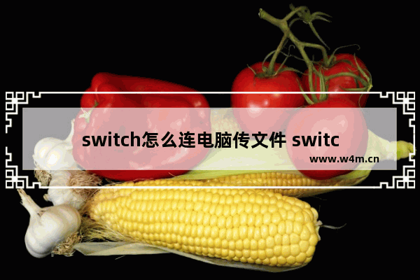 switch怎么连电脑传文件 switch文件管理器的使用