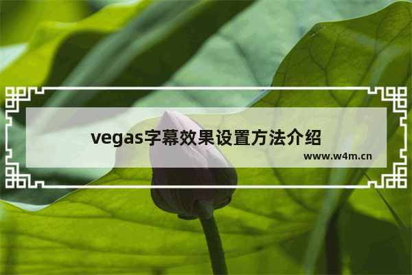 vegas字幕效果设置方法介绍