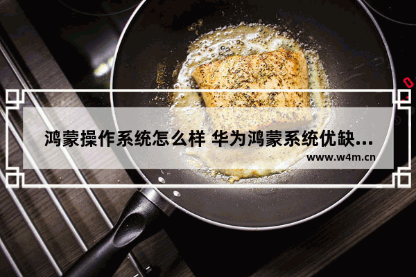 鸿蒙操作系统怎么样 华为鸿蒙系统优缺点讲解