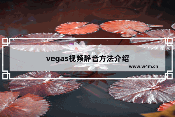 vegas视频静音方法介绍