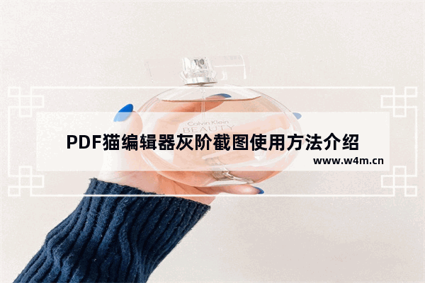 PDF猫编辑器灰阶截图使用方法介绍