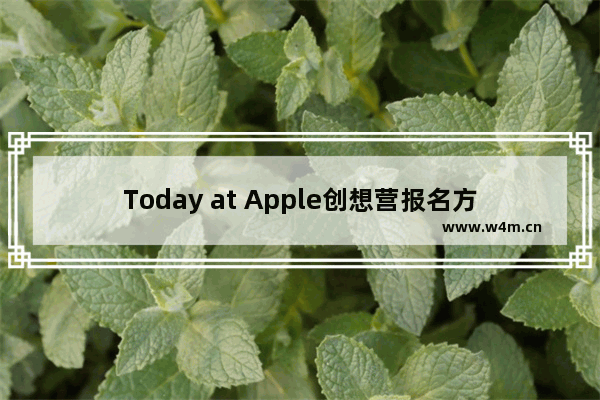 Today at Apple创想营报名方法介绍