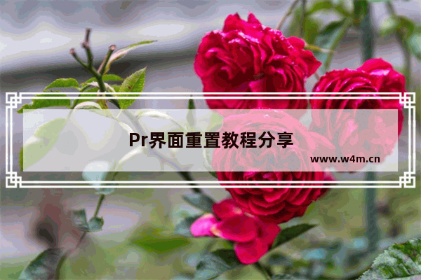 Pr界面重置教程分享