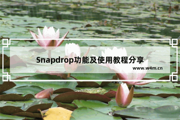 Snapdrop功能及使用教程分享