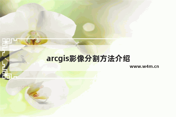 arcgis影像分割方法介绍