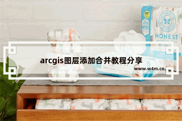 arcgis图层添加合并教程分享