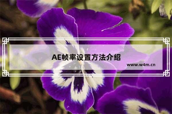 AE帧率设置方法介绍