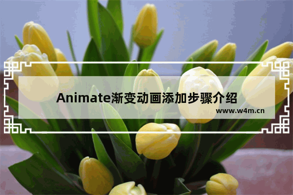 Animate渐变动画添加步骤介绍