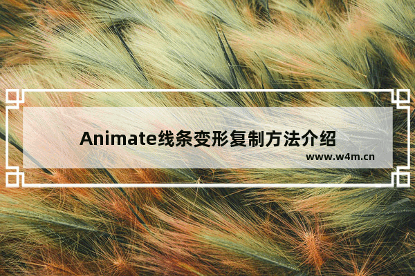 Animate线条变形复制方法介绍