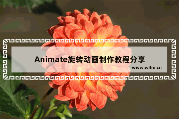 Animate旋转动画制作教程分享