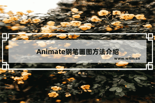 Animate钢笔画图方法介绍