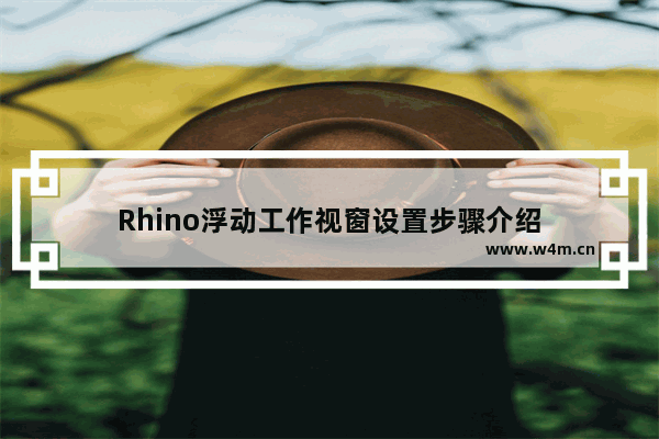 Rhino浮动工作视窗设置步骤介绍