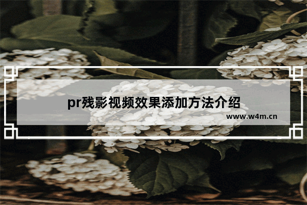 pr残影视频效果添加方法介绍