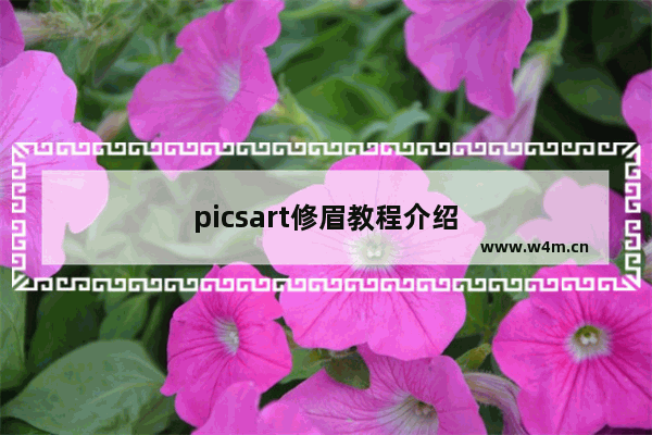 picsart修眉教程介绍