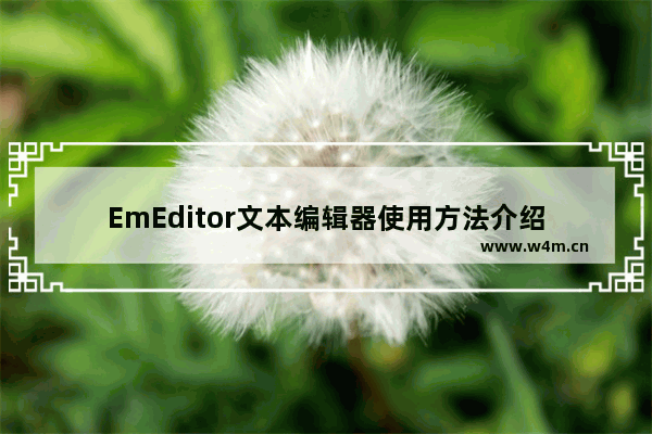 EmEditor文本编辑器使用方法介绍