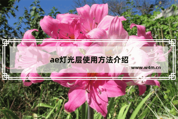 ae灯光层使用方法介绍