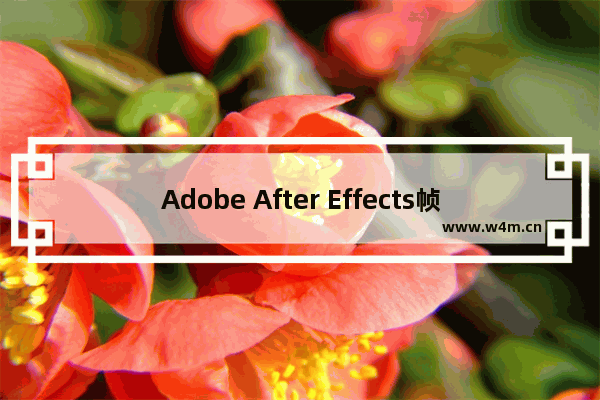 Adobe After Effects帧率持续时间设置教程分享