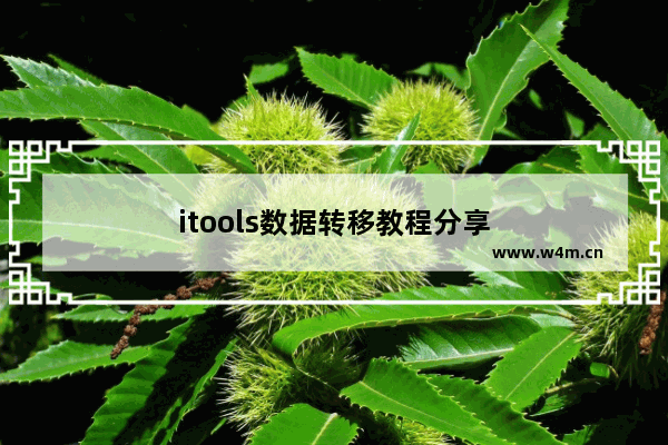 itools数据转移教程分享