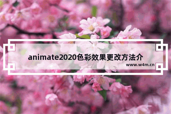 animate2020色彩效果更改方法介绍