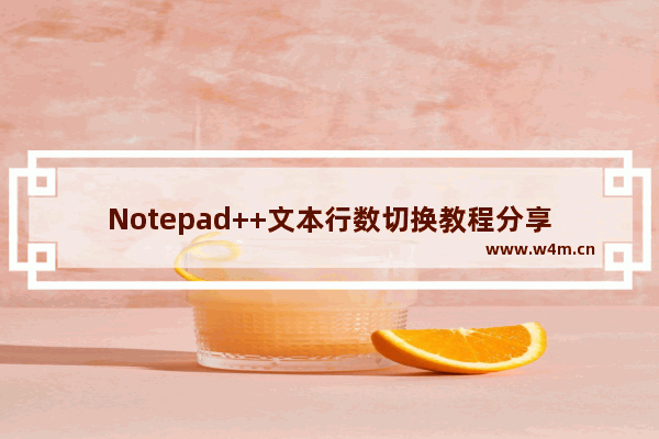 Notepad++文本行数切换教程分享