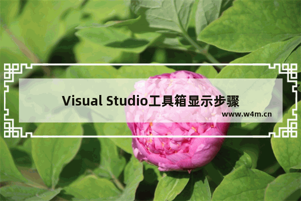 Visual Studio工具箱显示步骤介绍