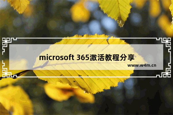 microsoft 365激活教程分享