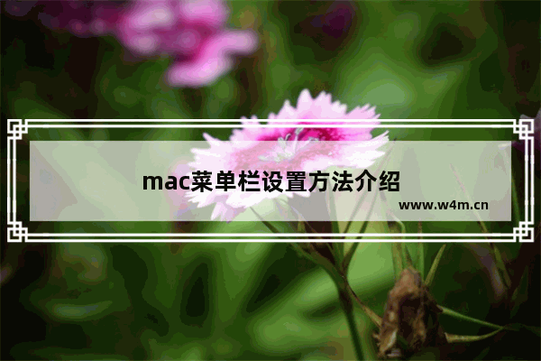 mac菜单栏设置方法介绍