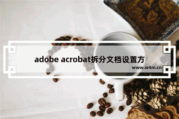 adobe acrobat拆分文档设置方法介绍