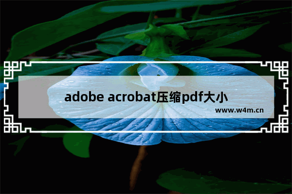 adobe acrobat压缩pdf大小方法介绍