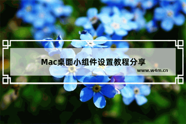 Mac桌面小组件设置教程分享