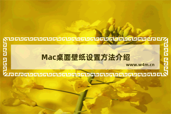 Mac桌面壁纸设置方法介绍