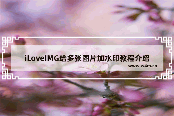 iLoveIMG给多张图片加水印教程介绍