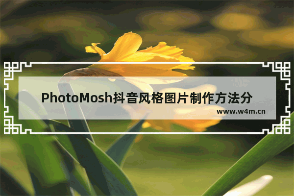 PhotoMosh抖音风格图片制作方法分享