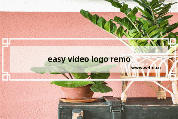 easy video logo remover去水印步骤分享