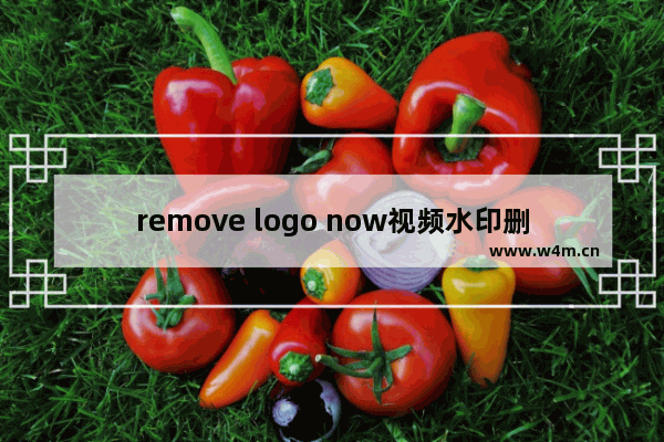 remove logo now视频水印删除教程分享